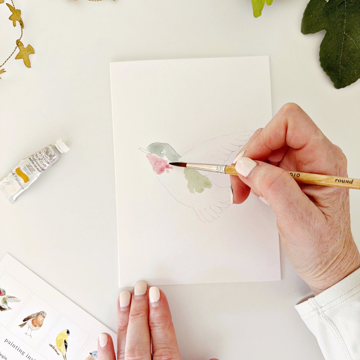 backyard birds paintable notecards