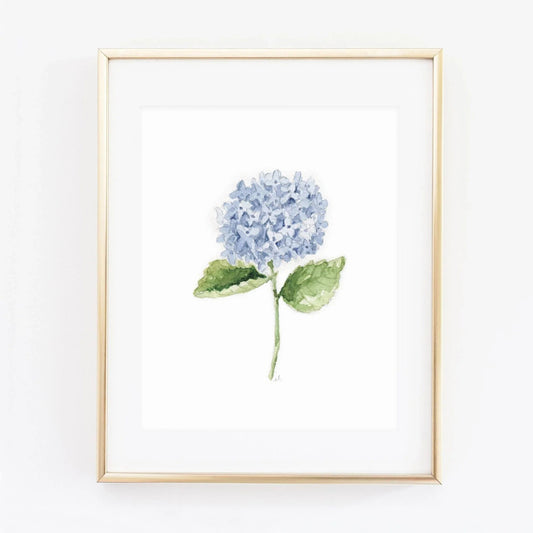 hydrangea stem art print - emily lex studio