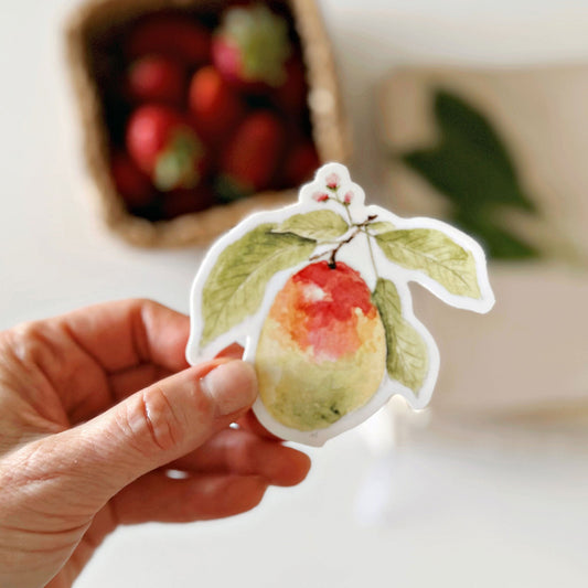 mango sticker