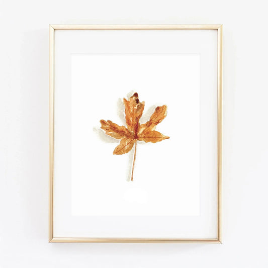 maple leaf art print - emily lex studio