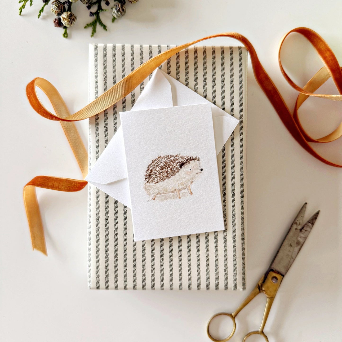 hedgehog mini notecard