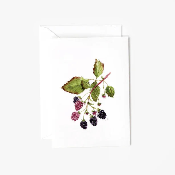blackberry mini enclosure notecard