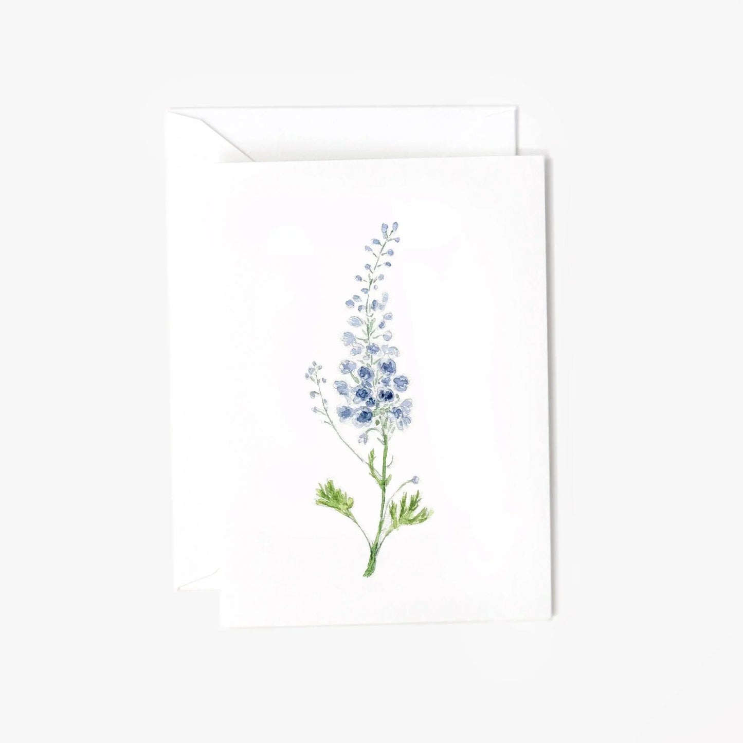 delphinium mini notecard - emily lex studio