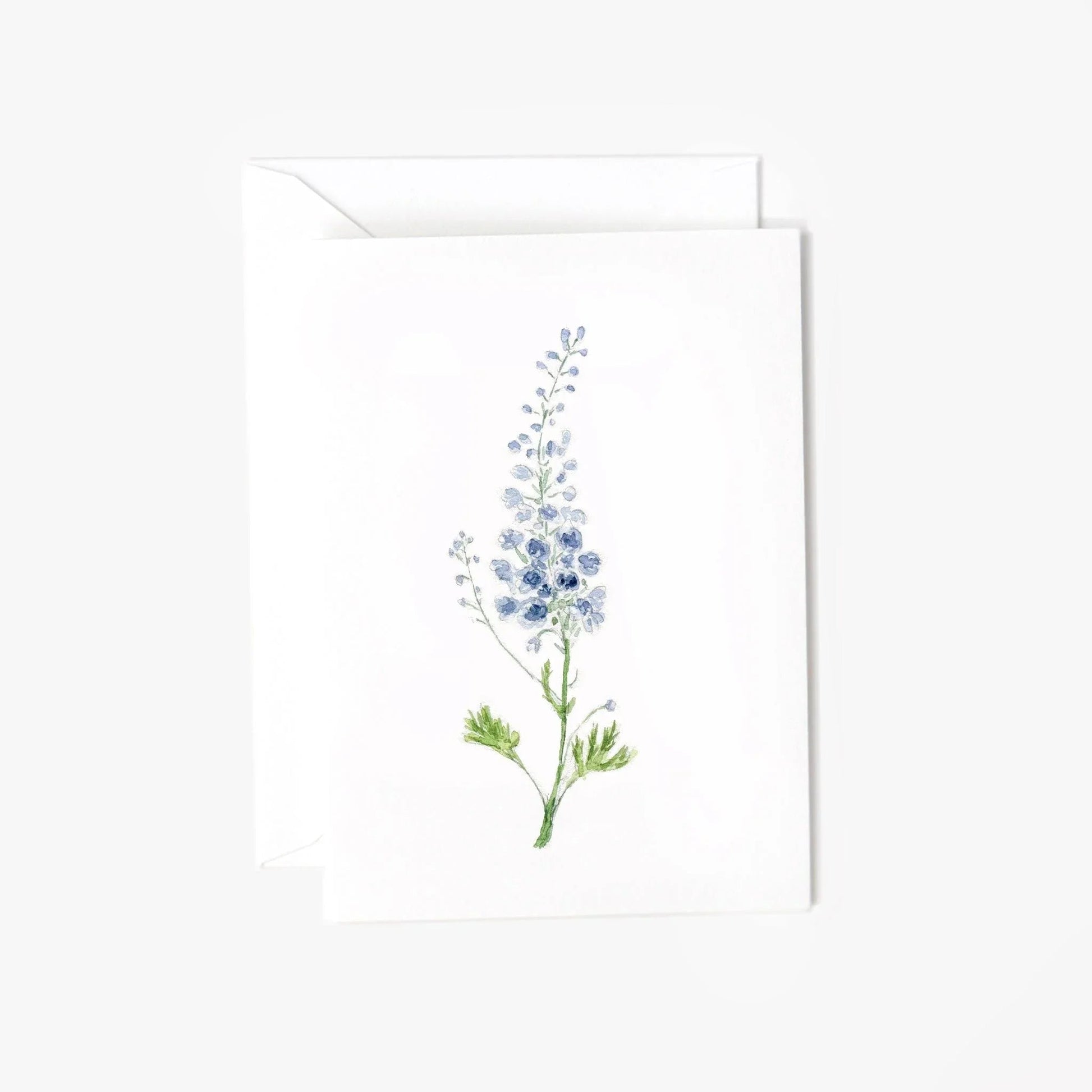 delphinium mini notecard - emily lex studio