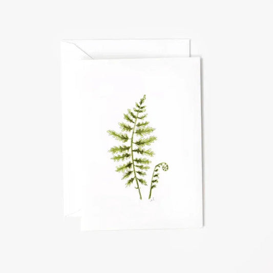 fern mini enclosure notecard
