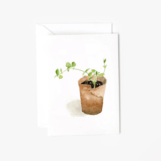 sweet pea mini notecards - emily lex studio
