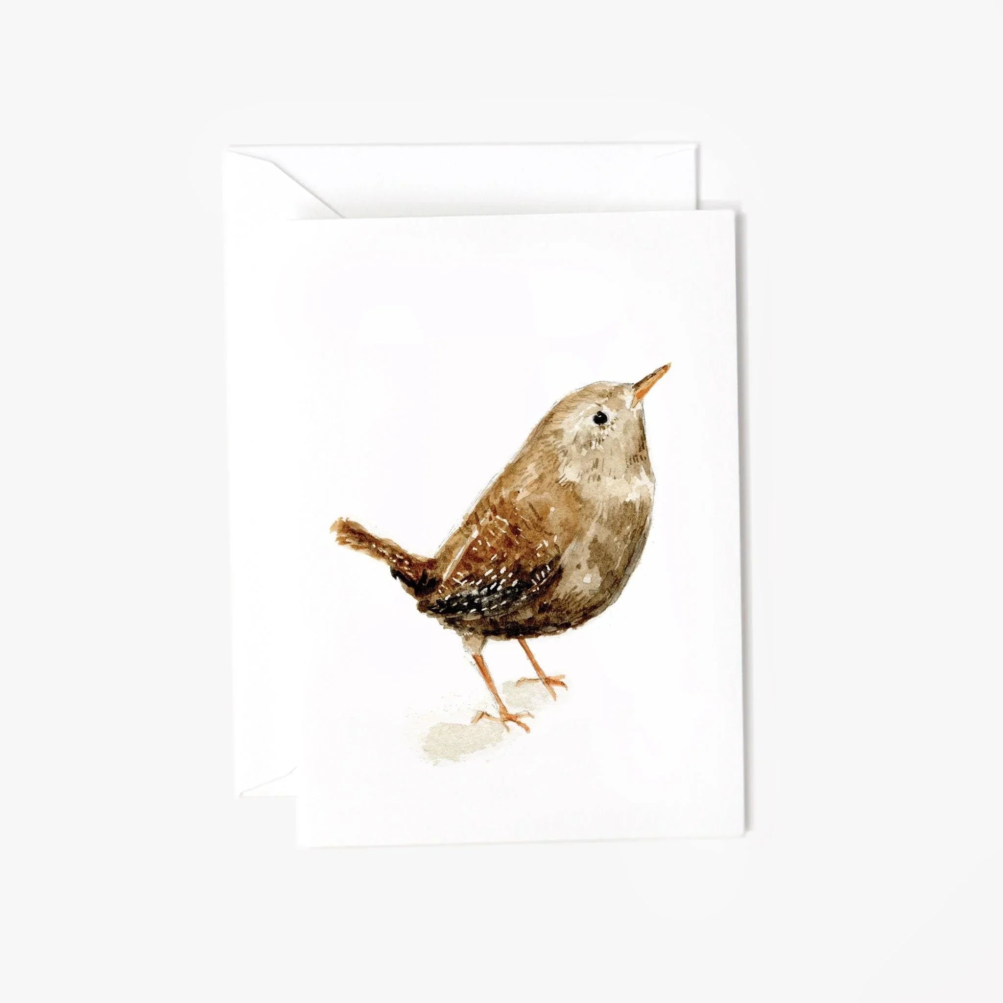wren bird mini enclosure notecard – Emily Lex Studio Wholesale