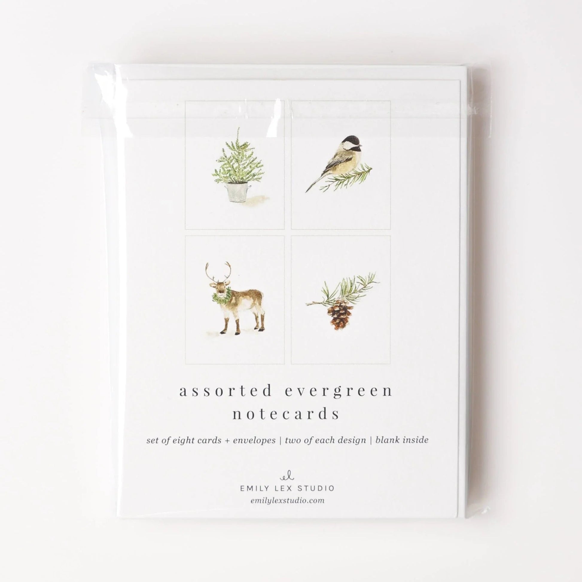 evergreen christmas notecard set - emily lex studio