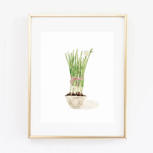 paperwhites art print - emily lex studio
