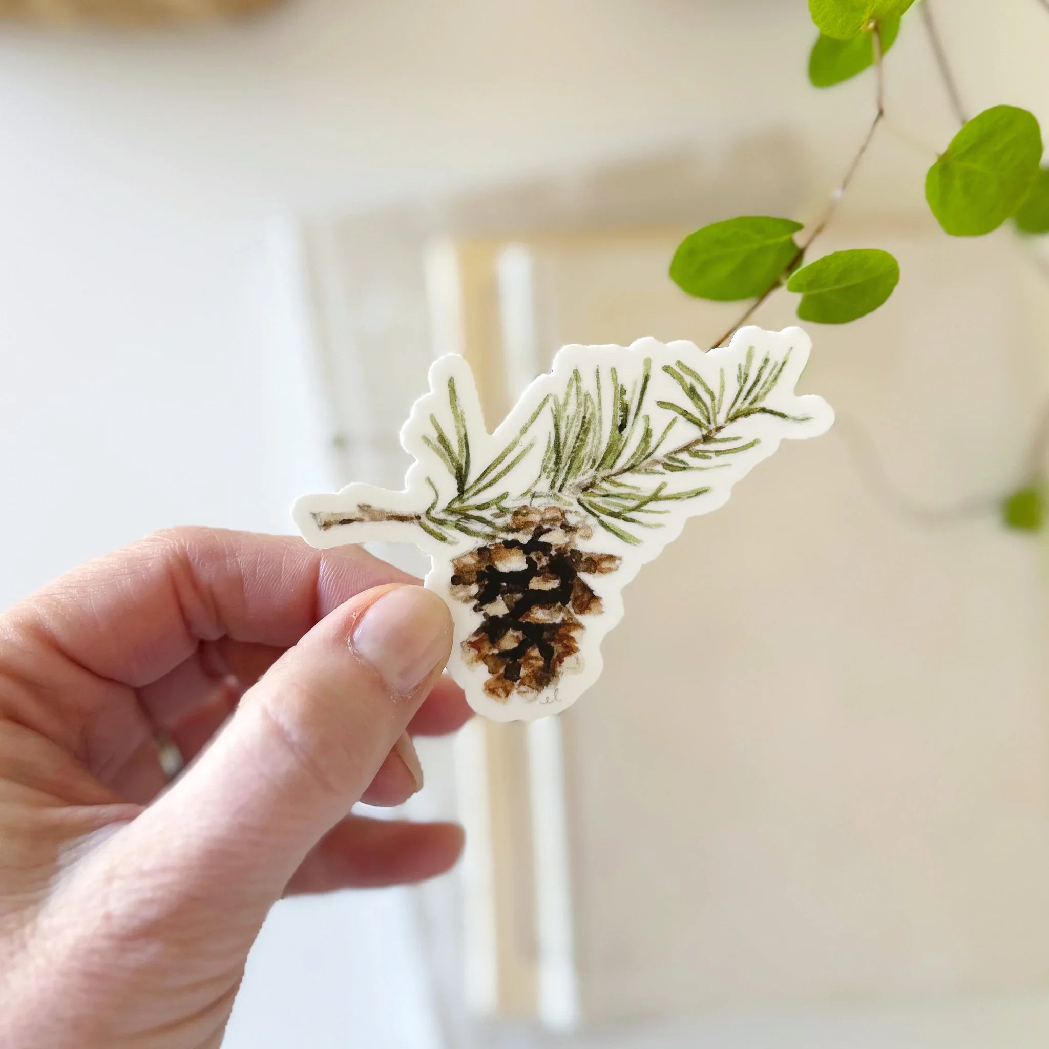 pinecone sticker – Emily Lex Studio Wholesale