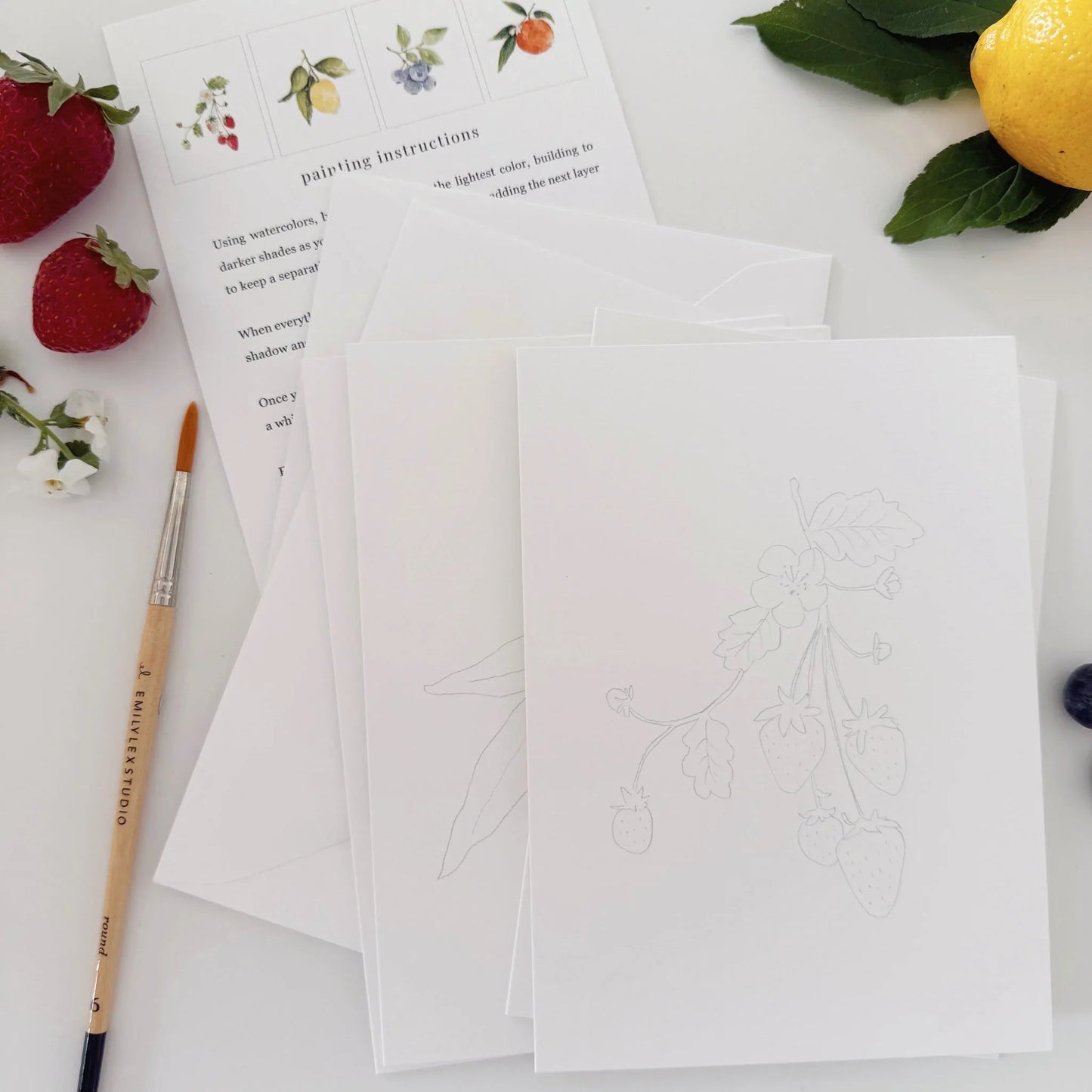 fruit paintable watercolor notecard set