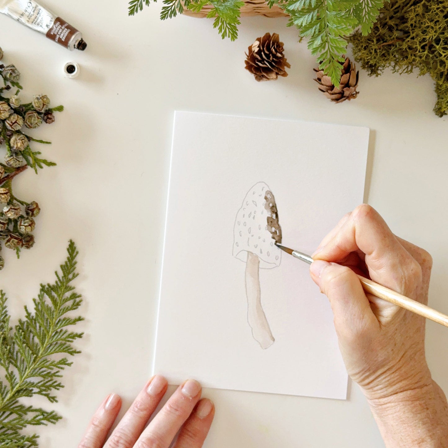 mushrooms paintable notecards