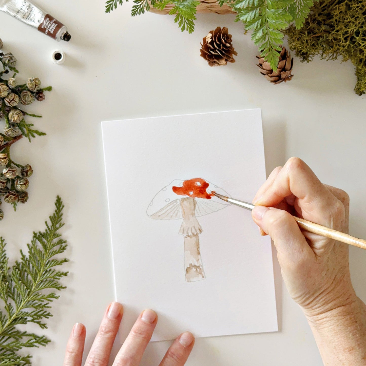mushrooms paintable notecards