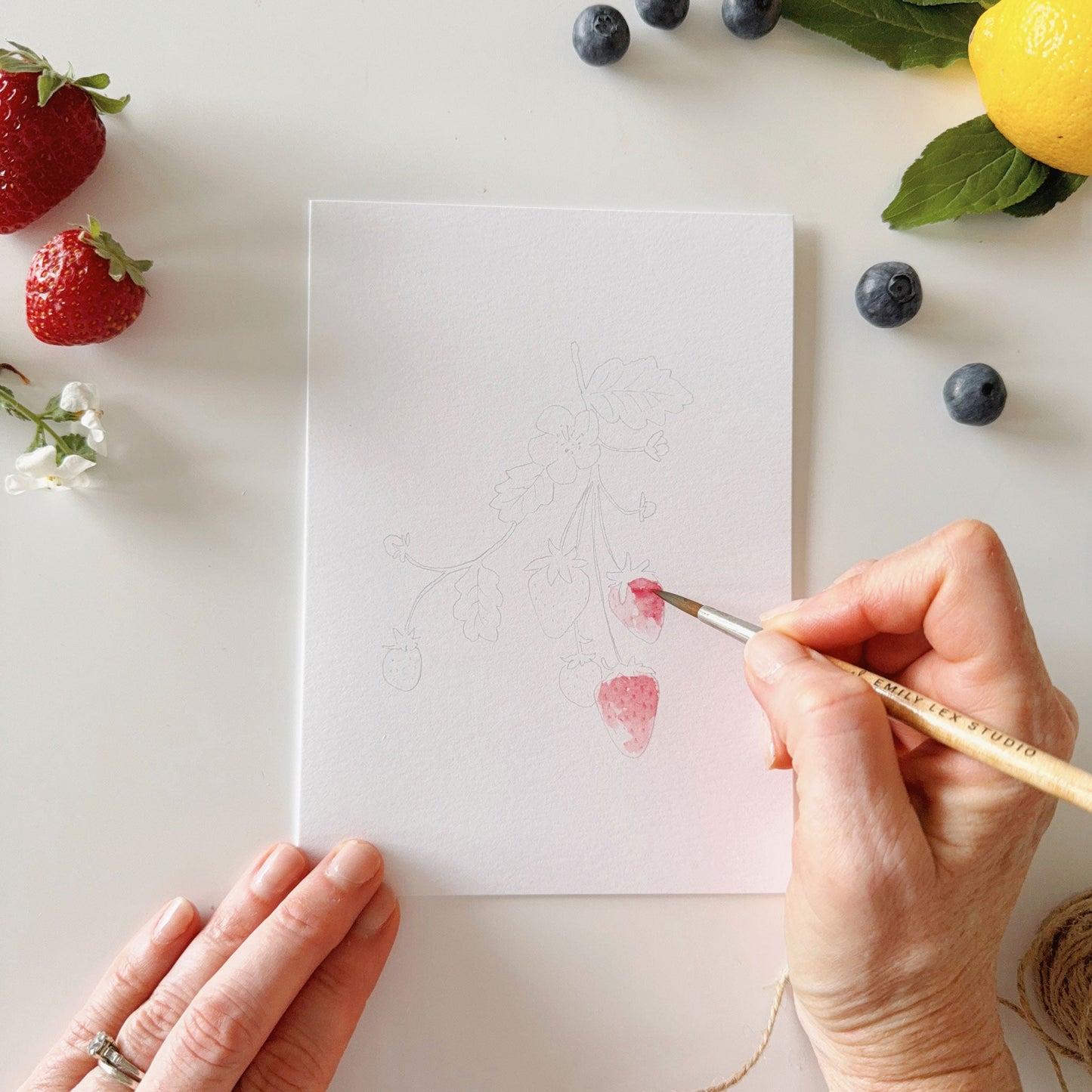 fruit paintable notecards