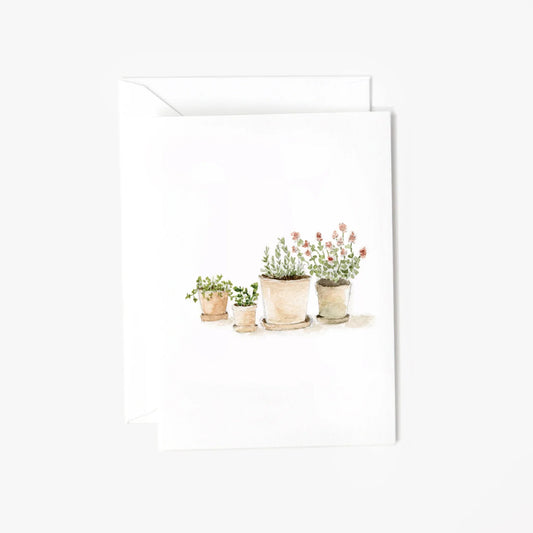 herbs mini enclosure notecard