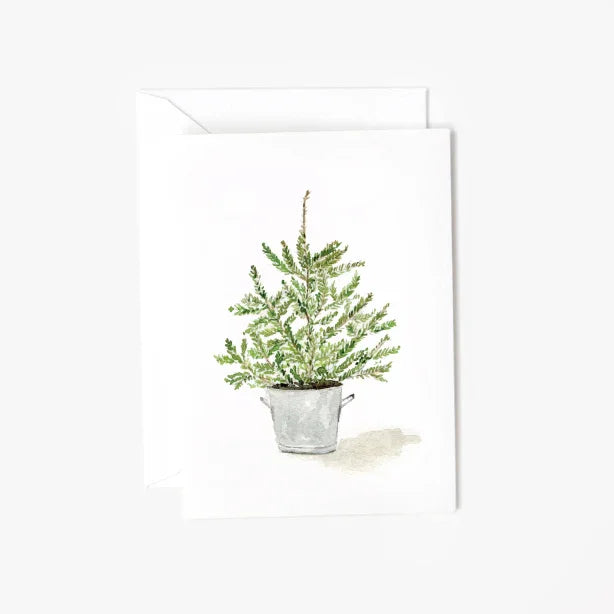 potted tree mini enclosure notecard