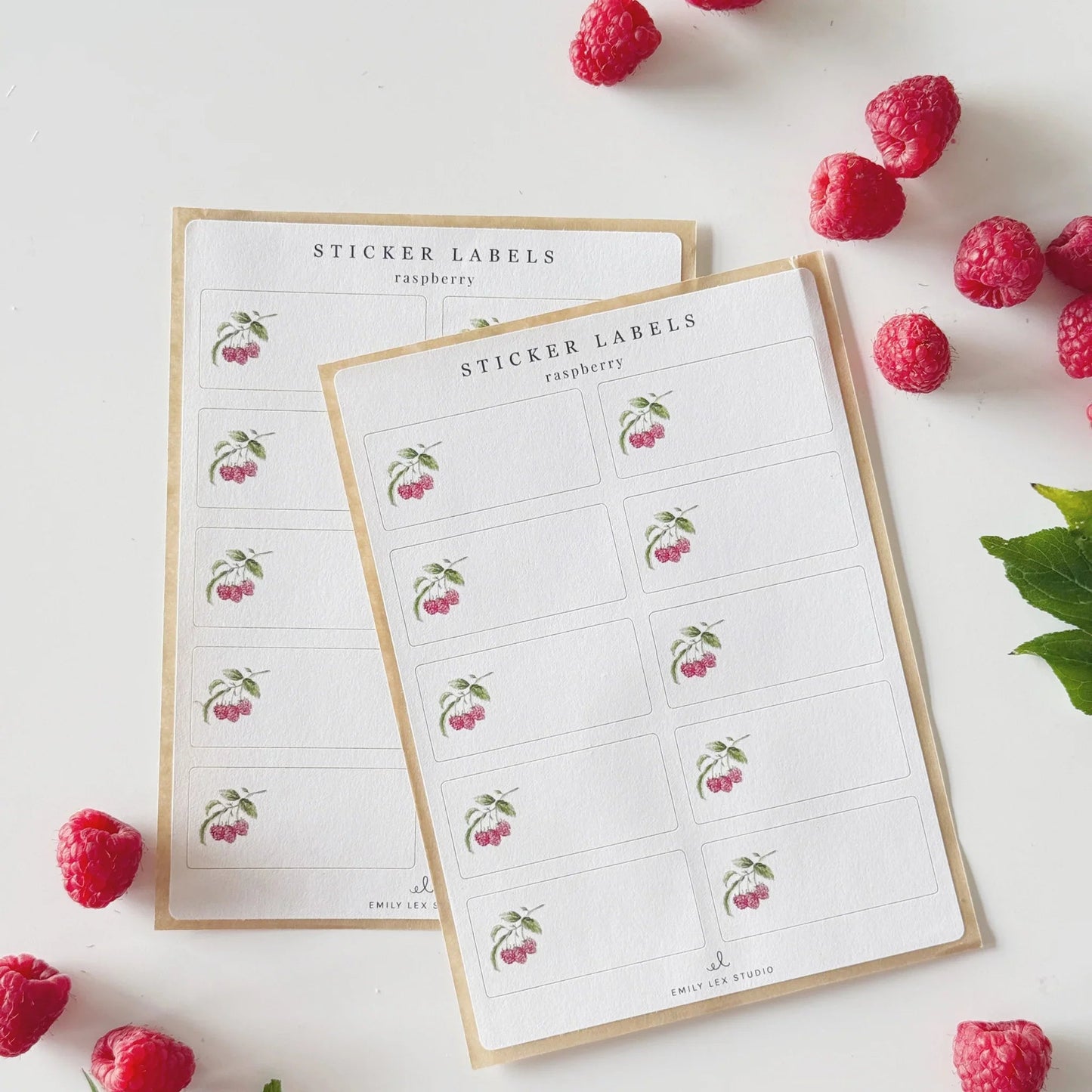 raspberry gift tag label sticker sheets