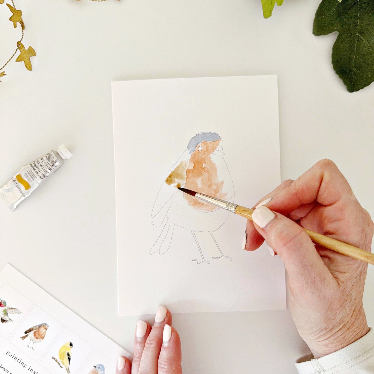backyard birds paintable notecards