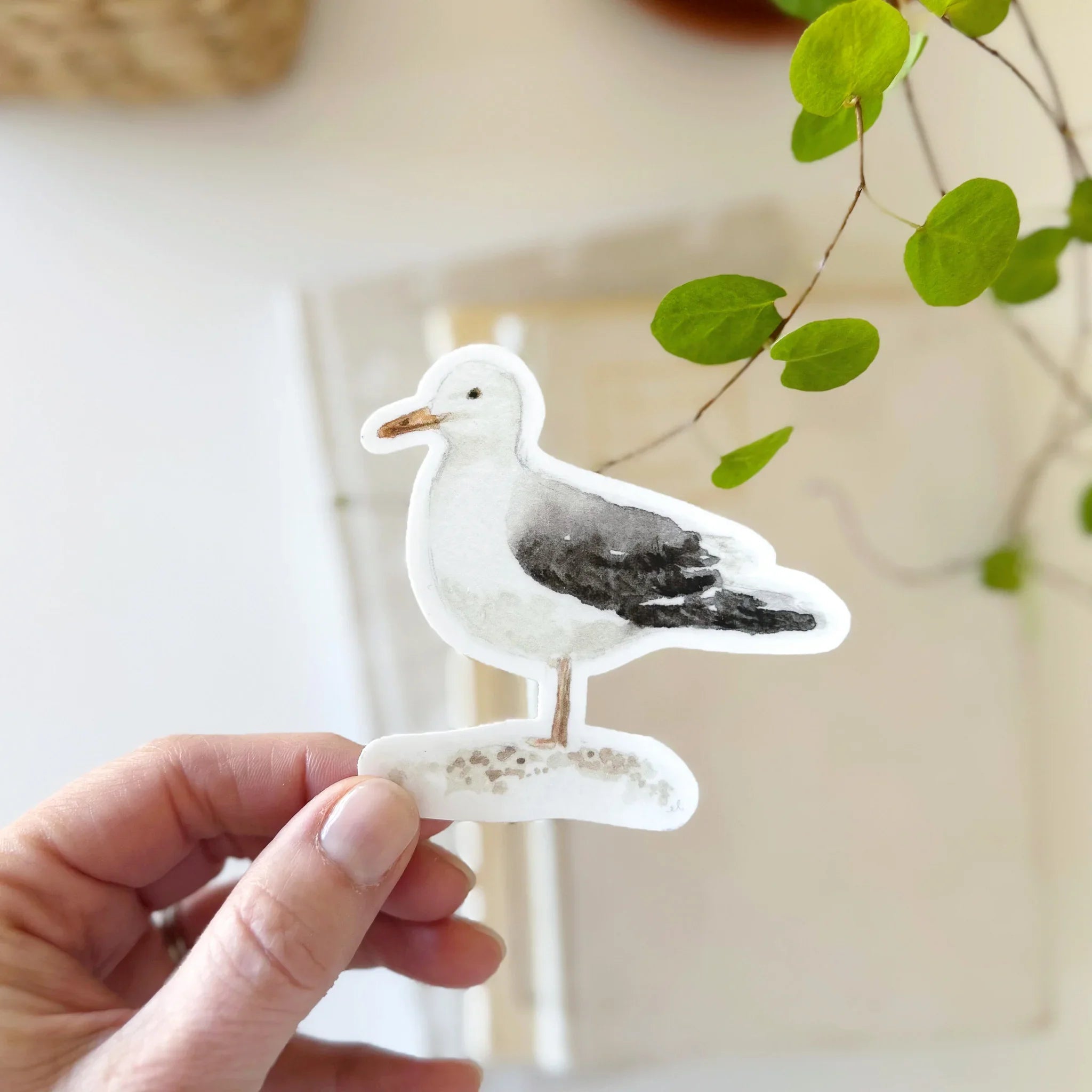 seagull sticker – Emily Lex Studio Wholesale