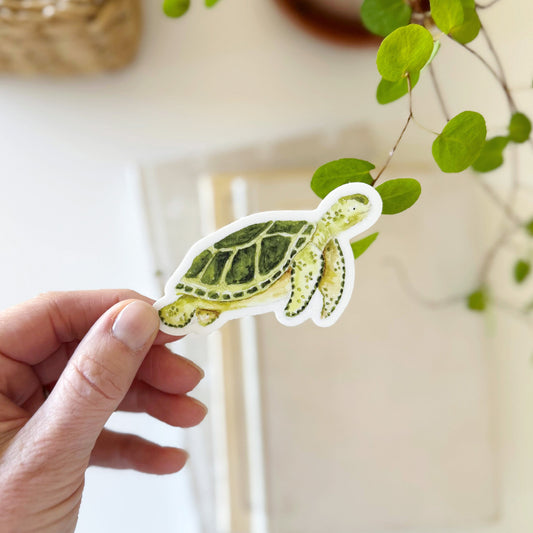 sea turtle sticker