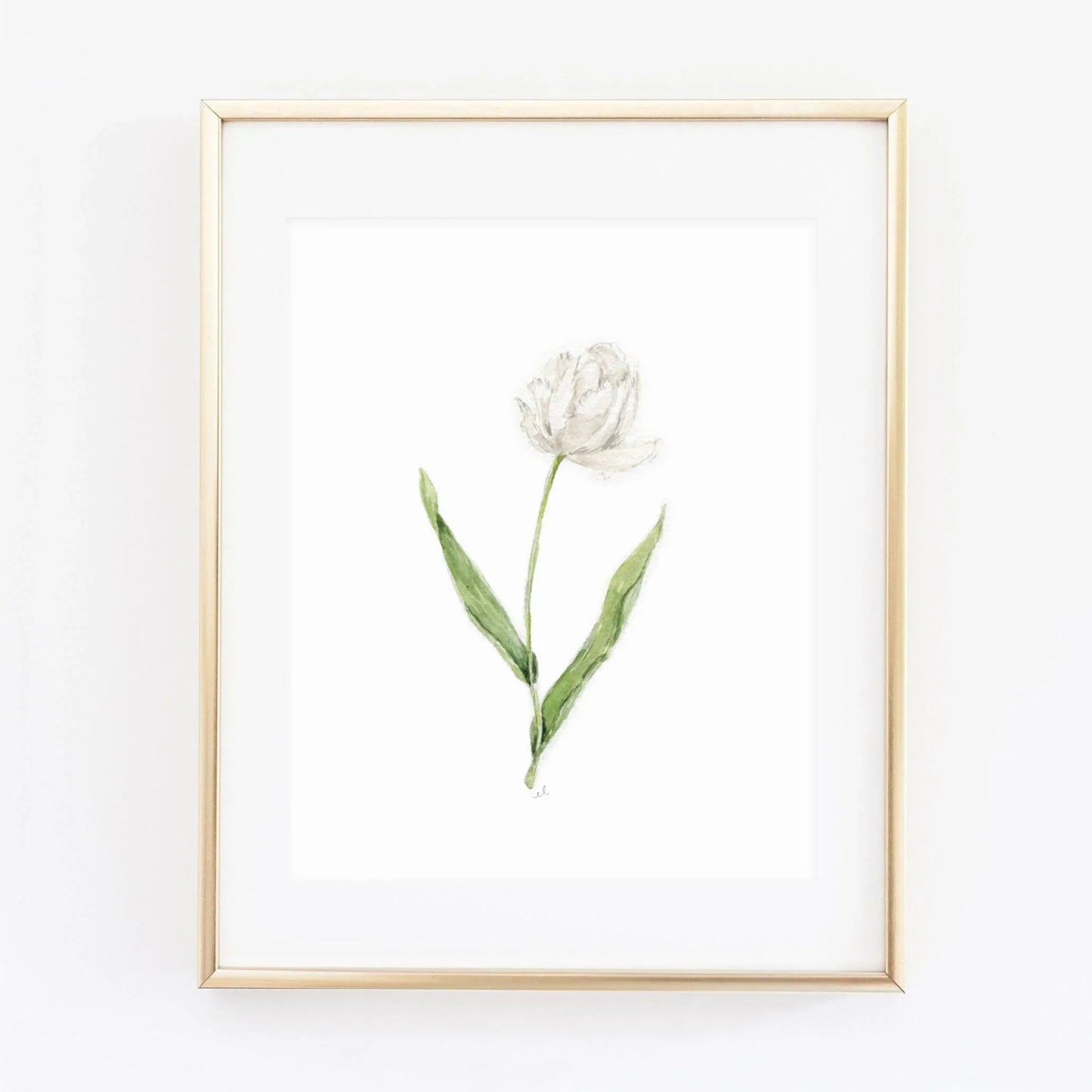 white tulip art print - emily lex studio