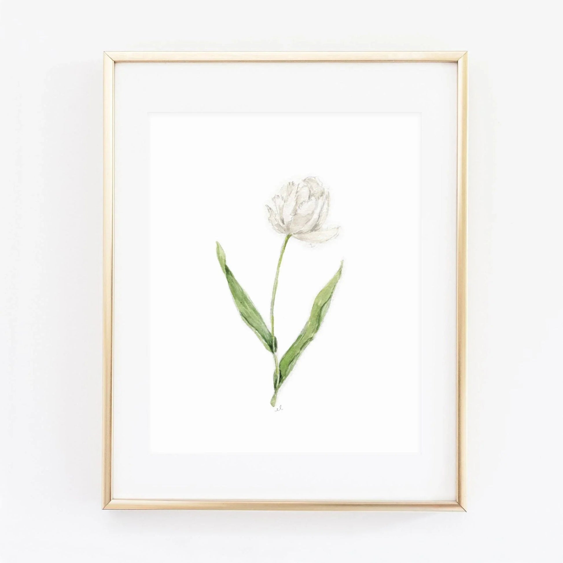 white tulip art print - emily lex studio