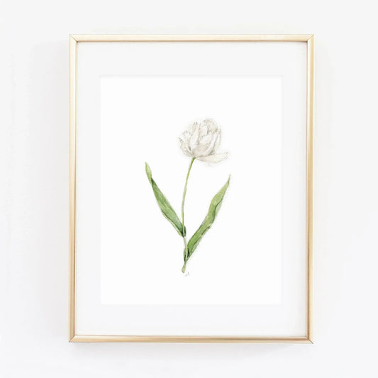 white tulip art print - emily lex studio