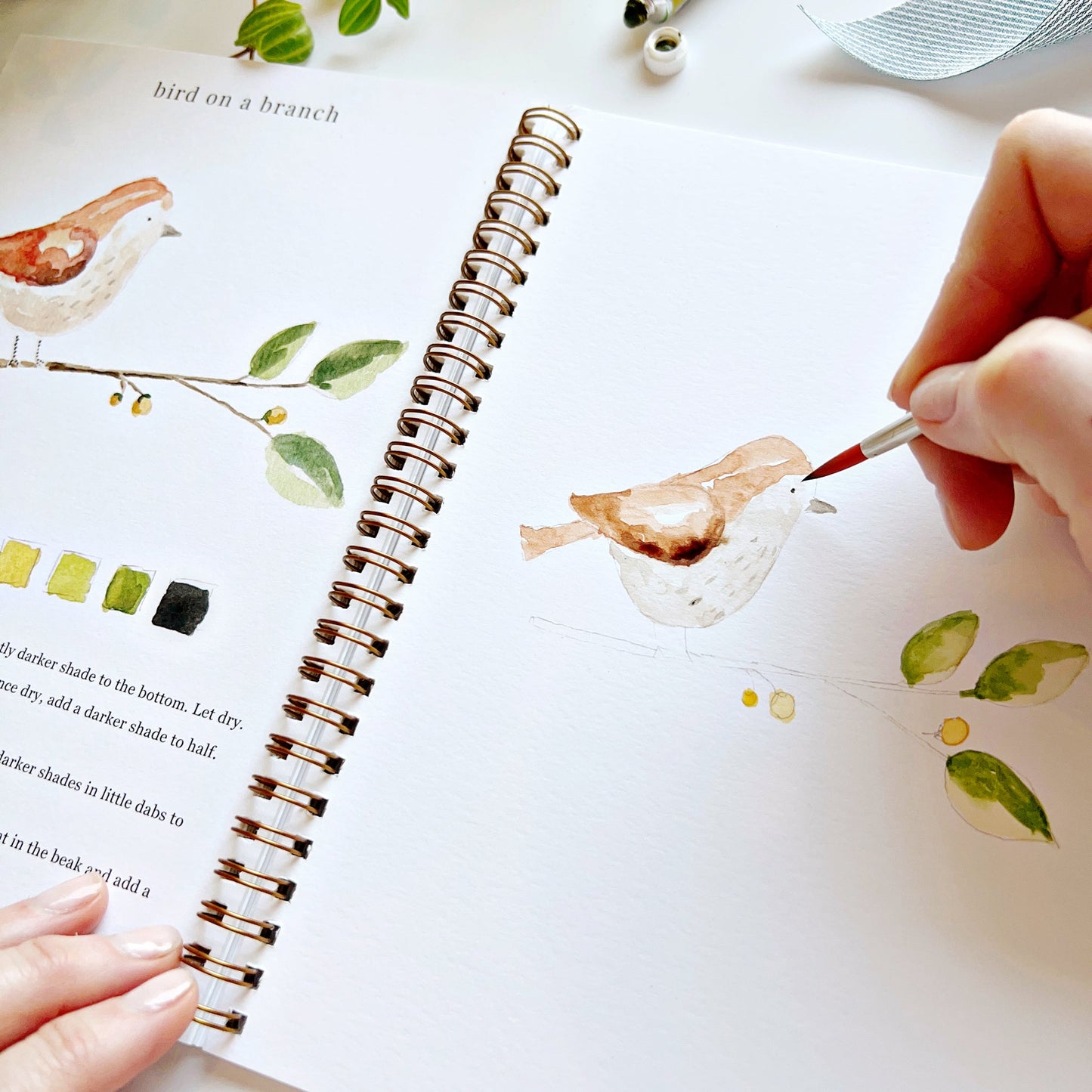 animals watercolor workbook