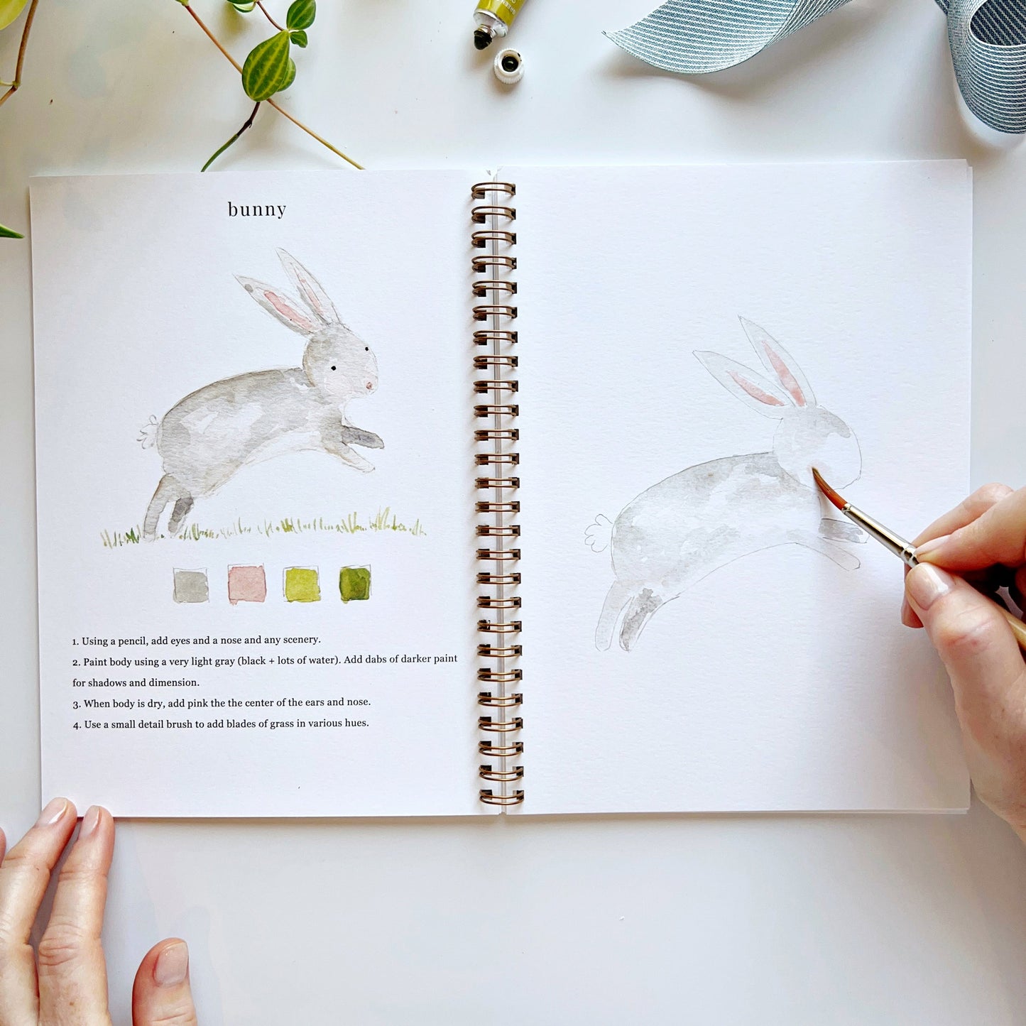 animals watercolor workbook