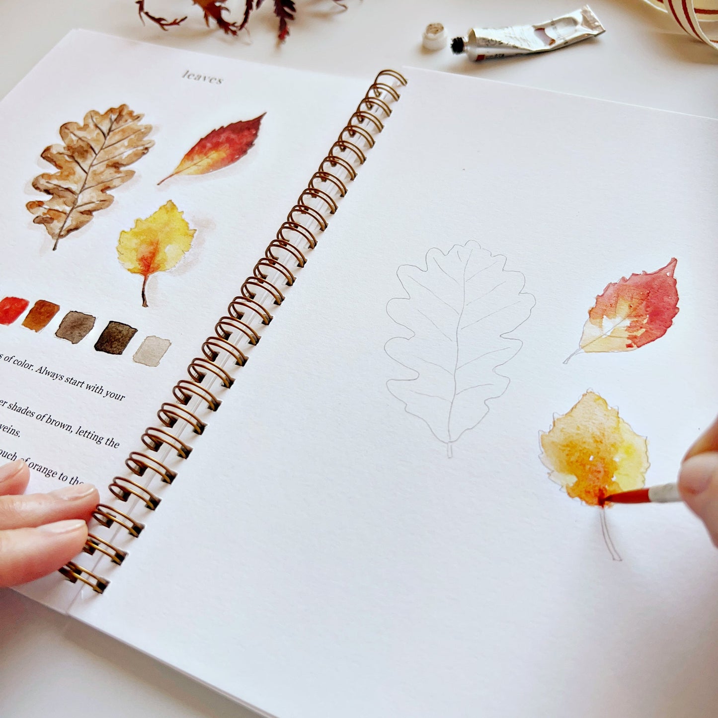 autumn watercolor workbook