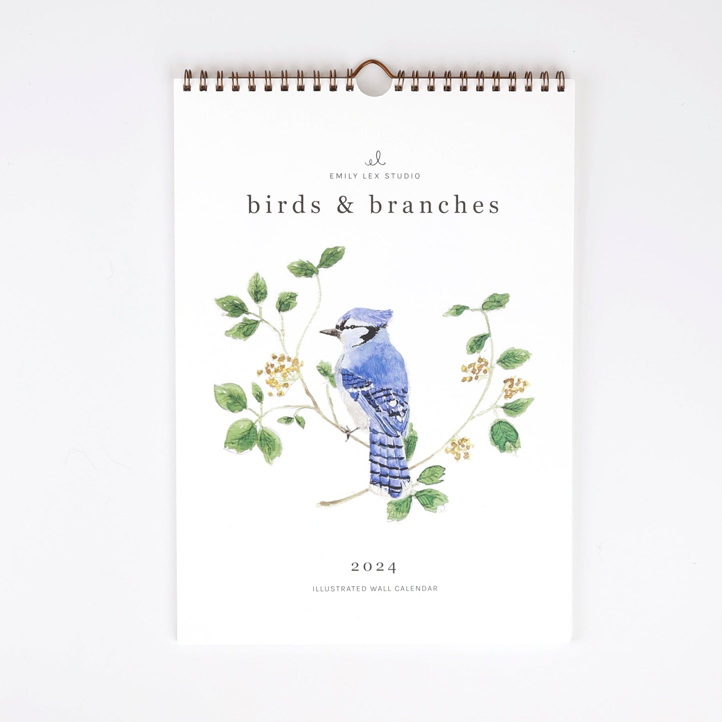 2024 birds & branches wall calendar