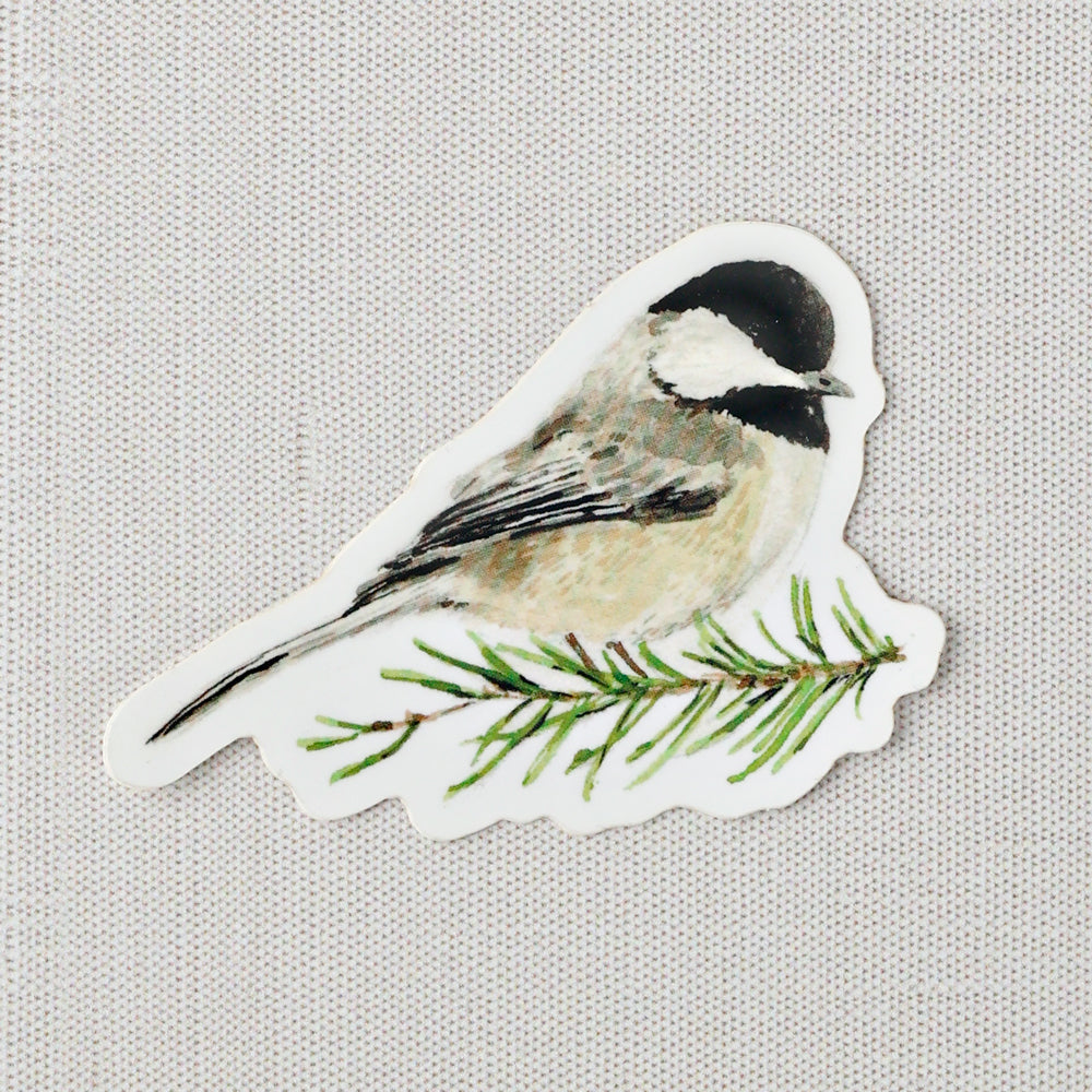 chickadee sticker