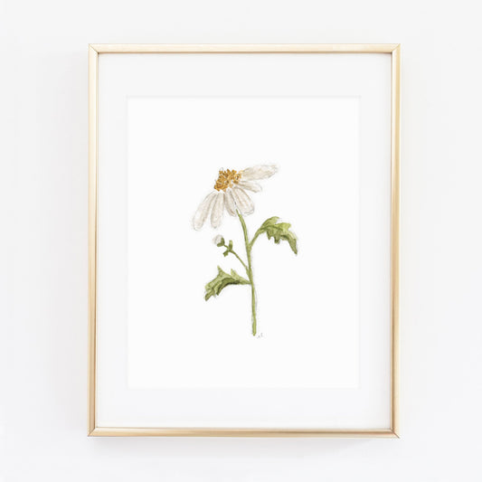 daisy art print