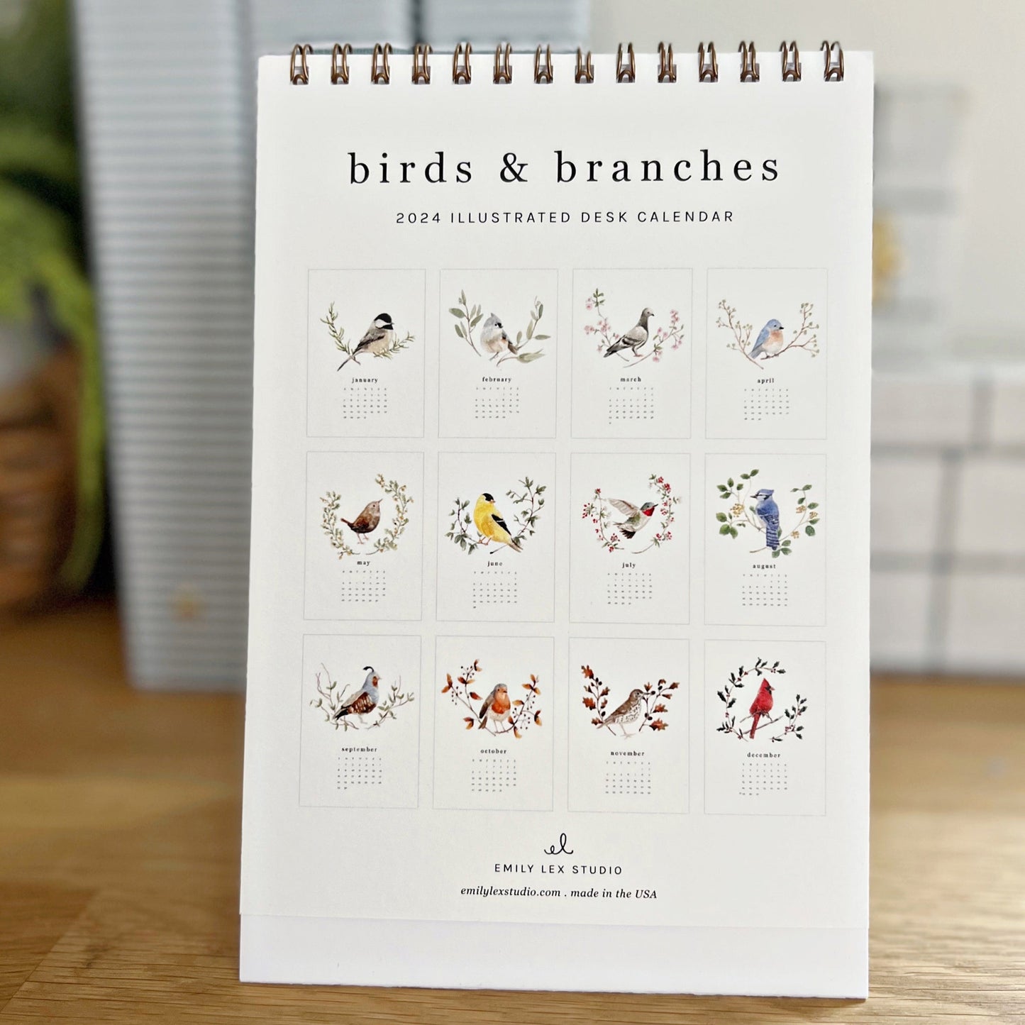 2024 birds & branches desk calendar