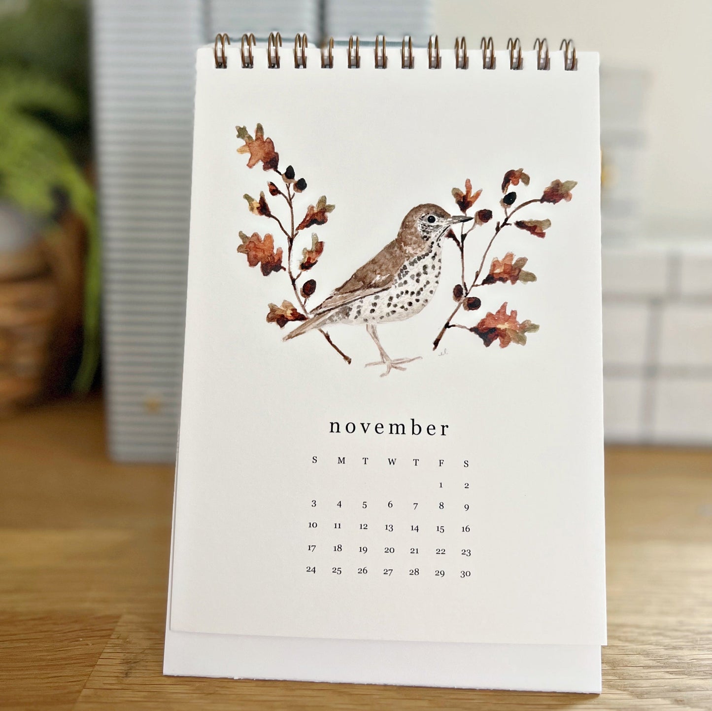 2024 birds & branches desk calendar