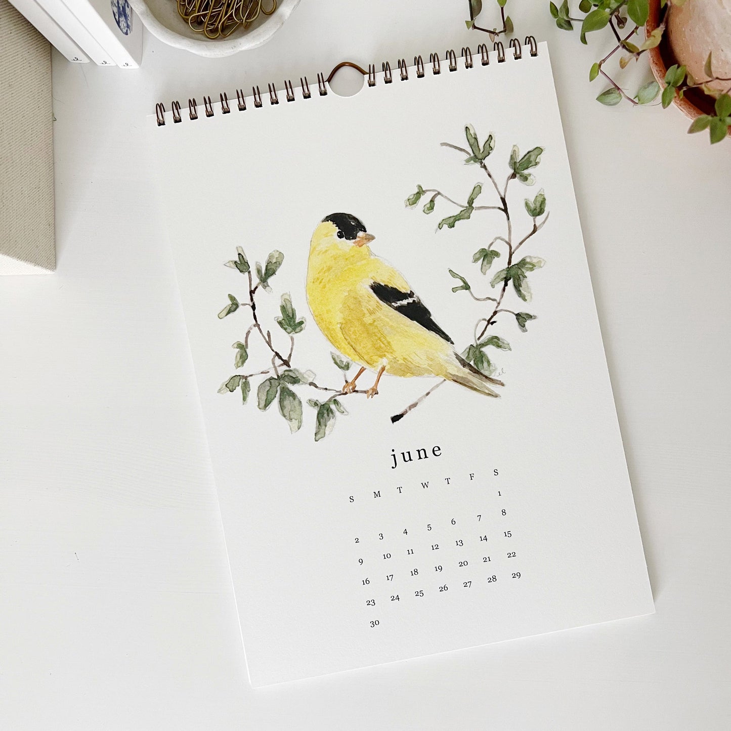 2024 birds & branches wall calendar