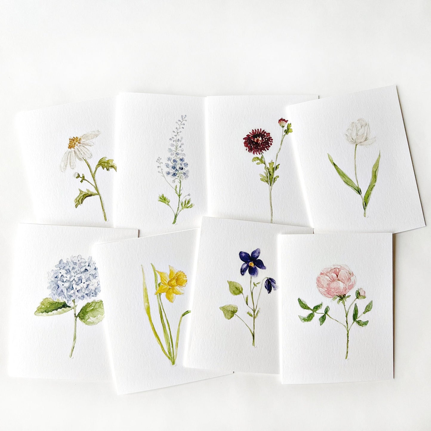 assorted garden flowers notecard set