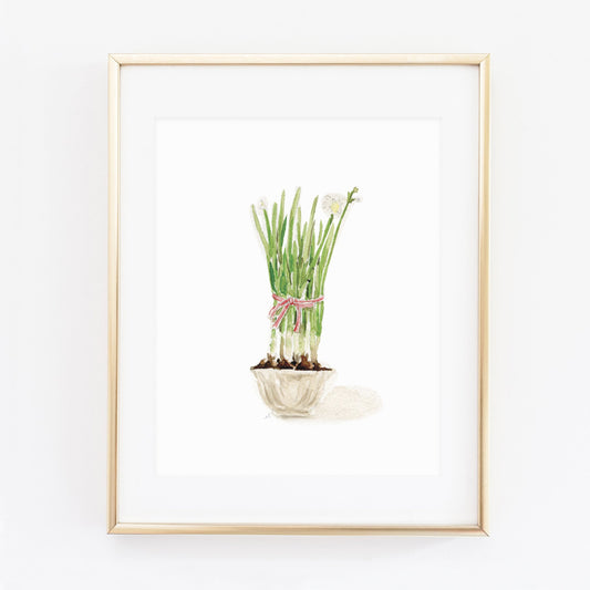 paperwhites art print