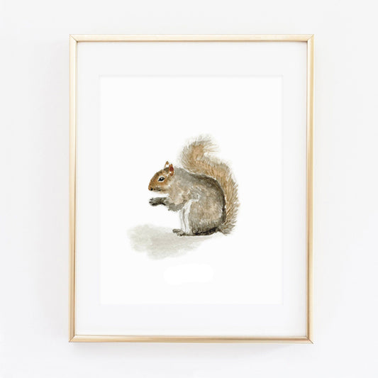 squirrel art print - emily lex studio