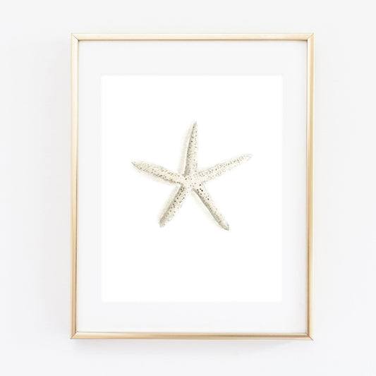 starfish art print - emily lex studio